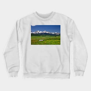 850_1905 Crewneck Sweatshirt